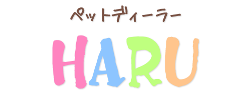 三重県四日市市　ペットショップ　『PET DEALER HARU』　トリミング　子犬　うさぎ 子猫